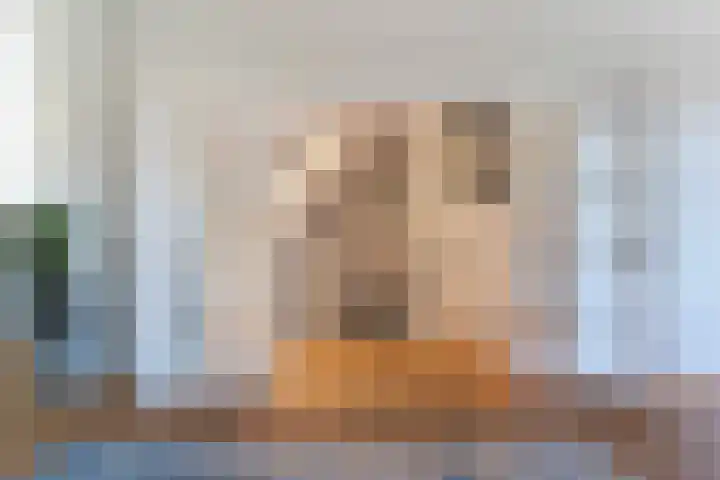 Breitnerlaan 6 Den Haag thumbnail 4