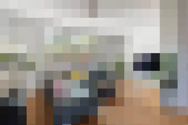 Breitnerlaan 6 Den Haag thumbnail 8