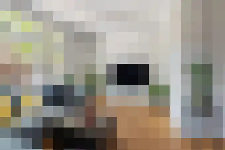 Breitnerlaan 6 Den Haag thumbnail 9