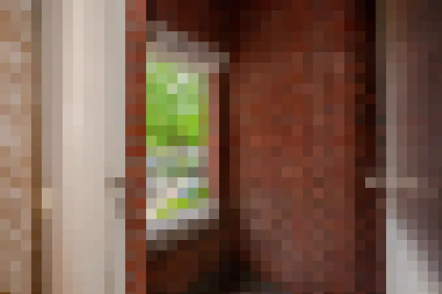 Breitnerlaan 64 Den Haag thumbnail 10