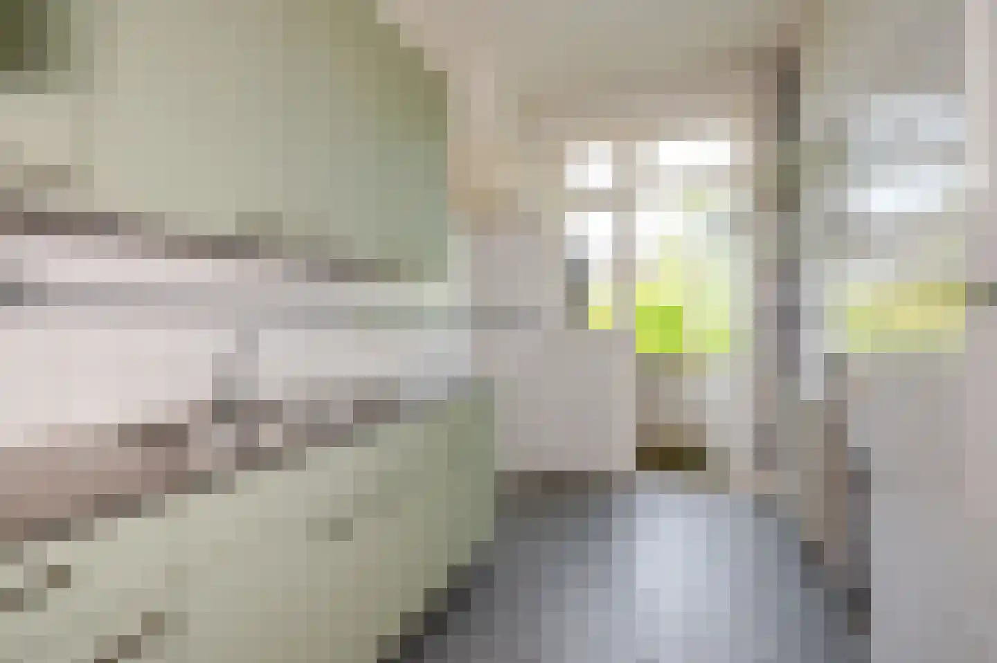 Breitnerlaan 64 Den Haag thumbnail 14