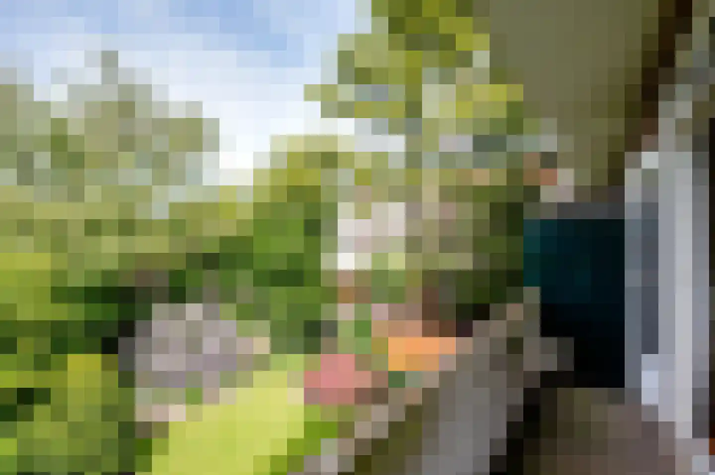 Breitnerlaan 64 Den Haag thumbnail 16