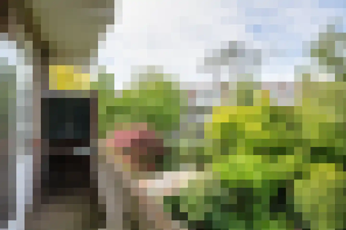 Breitnerlaan 64 Den Haag thumbnail 17