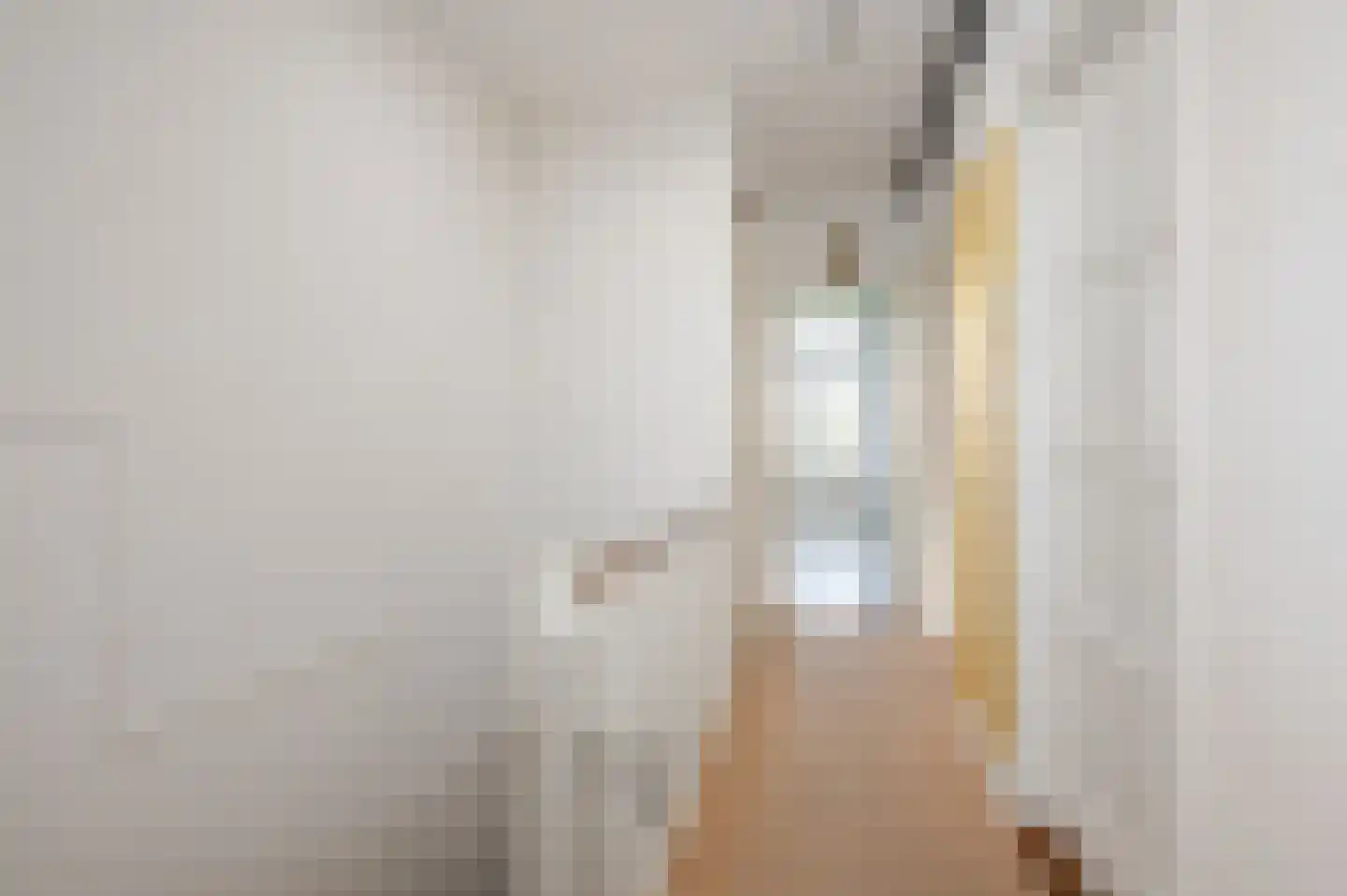 Breitnerlaan 64 Den Haag thumbnail 21