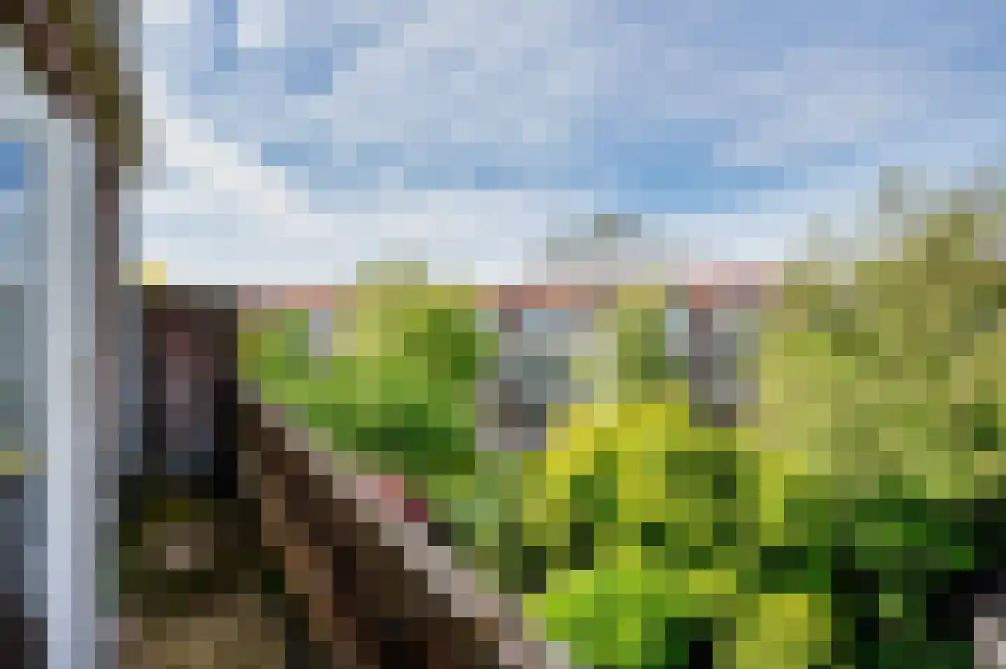 Breitnerlaan 64 Den Haag thumbnail 31