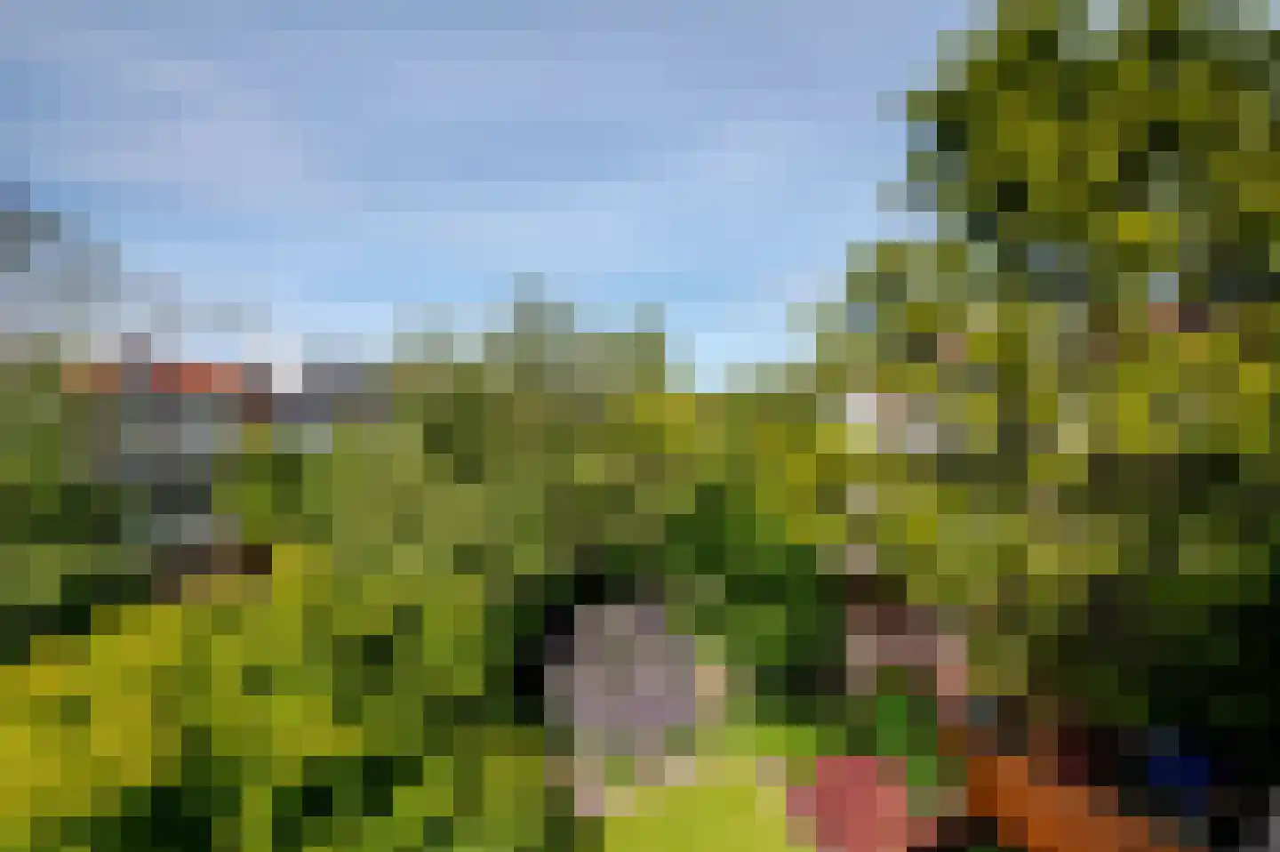 Breitnerlaan 64 Den Haag thumbnail 32