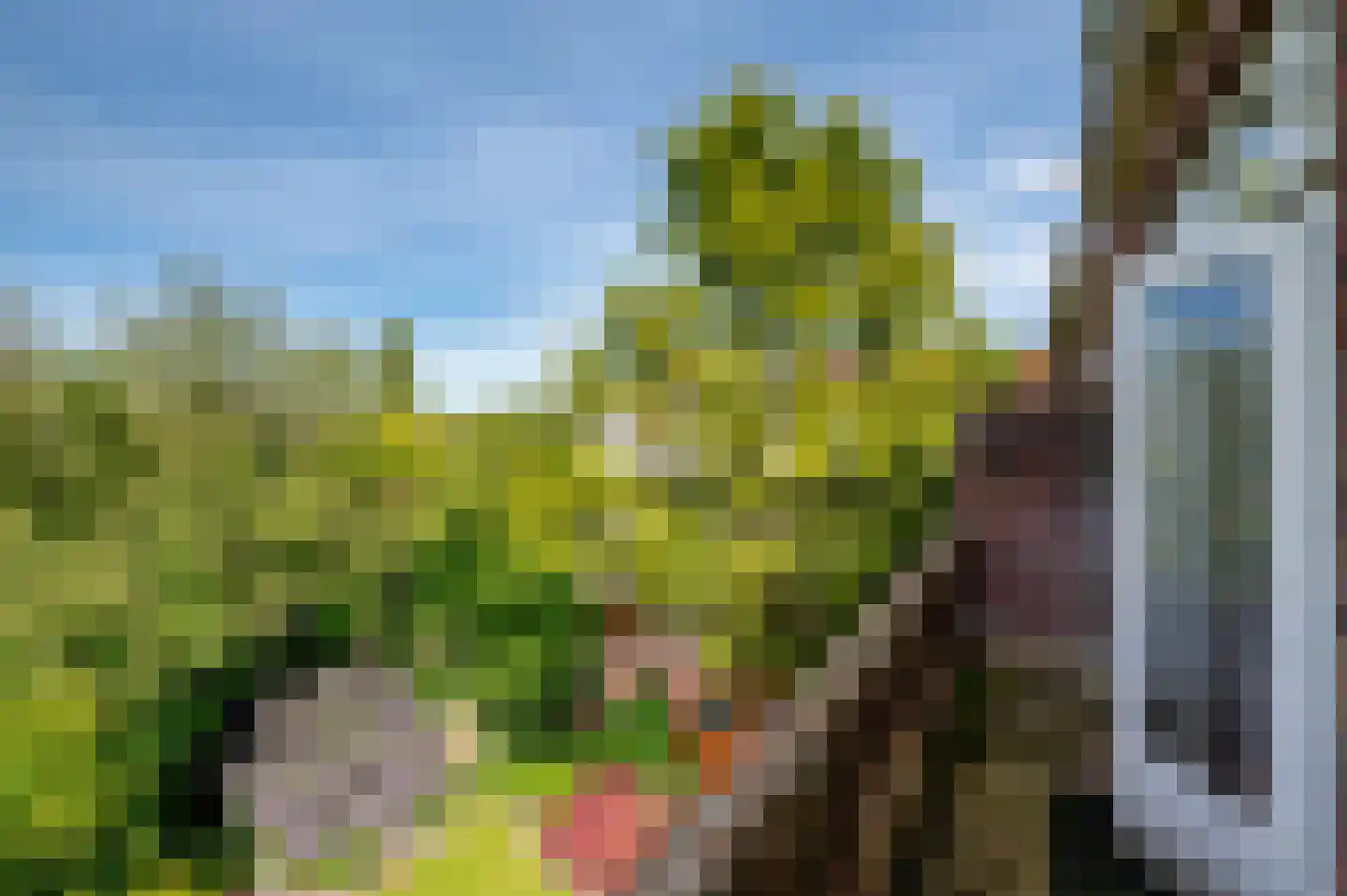 Breitnerlaan 64 Den Haag thumbnail 33