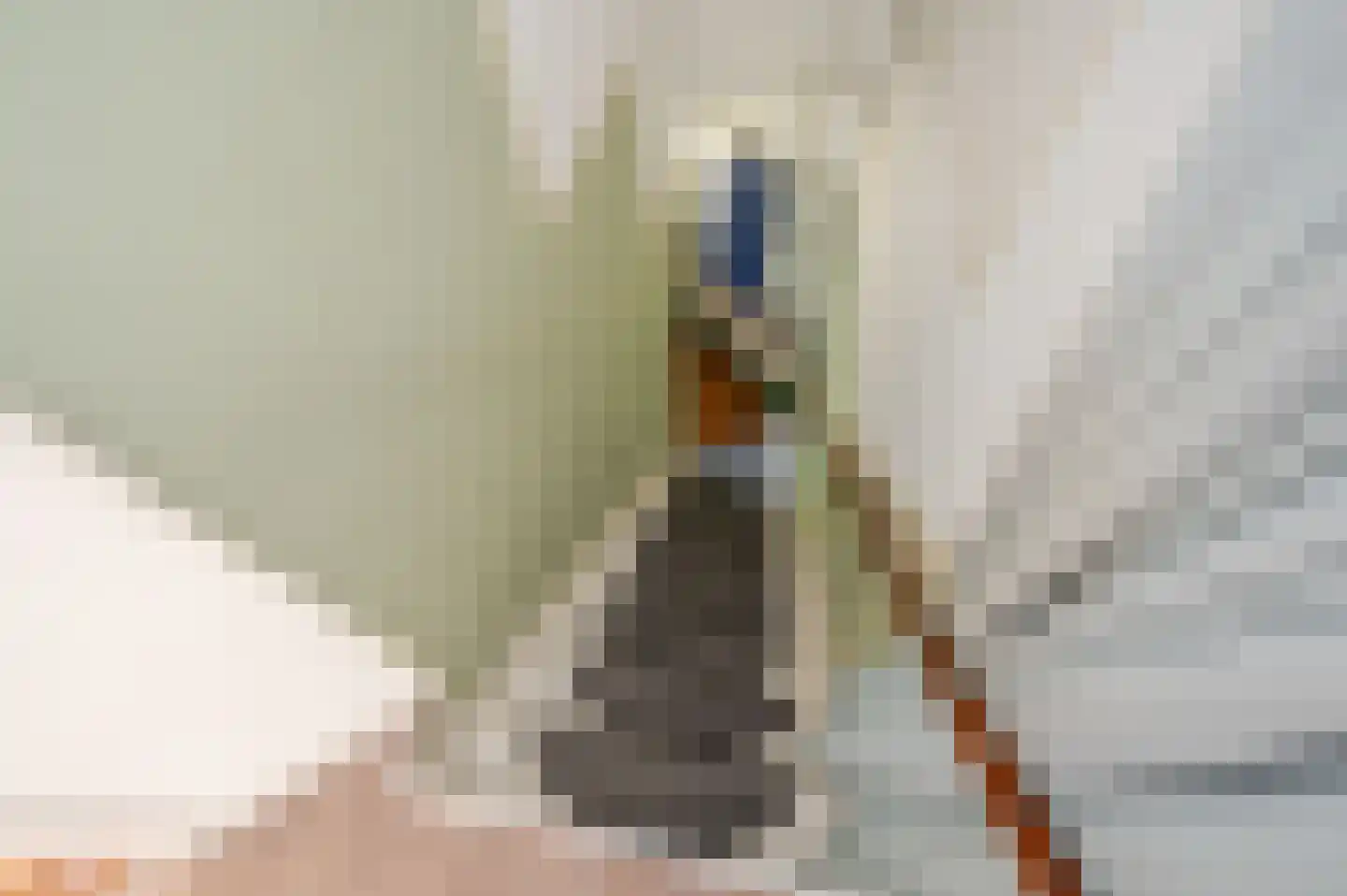 Breitnerlaan 64 Den Haag thumbnail 34