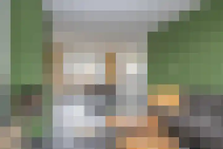 Breitnerlaan 8 Woudenberg thumbnail 9