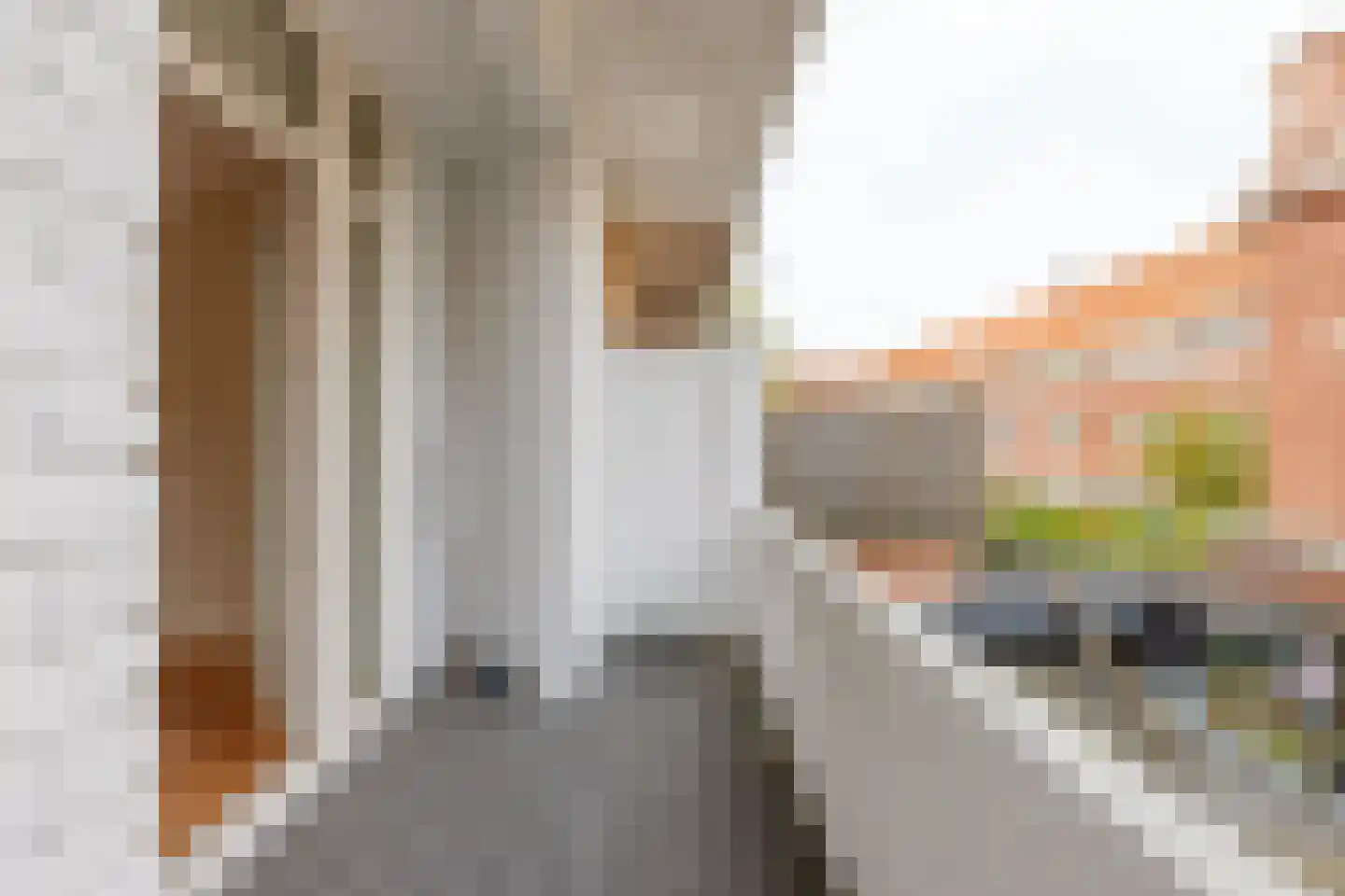 Breitnerlaan 80 Den Haag thumbnail 12