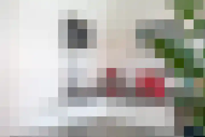 Breitnerlaan 90 Den Haag thumbnail 10