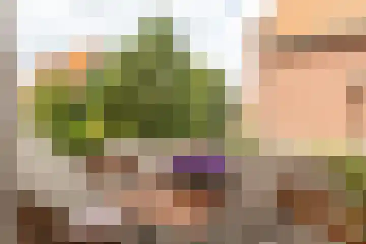 Breitnerlaan 90 Den Haag thumbnail 11