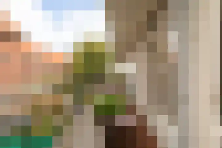 Breitnerlaan 90 Den Haag thumbnail 12