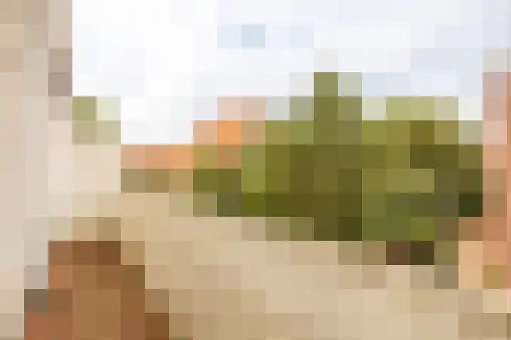 Breitnerlaan 90 Den Haag thumbnail 16
