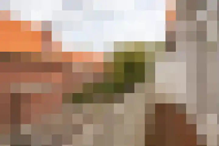 Breitnerlaan 90 Den Haag thumbnail 17