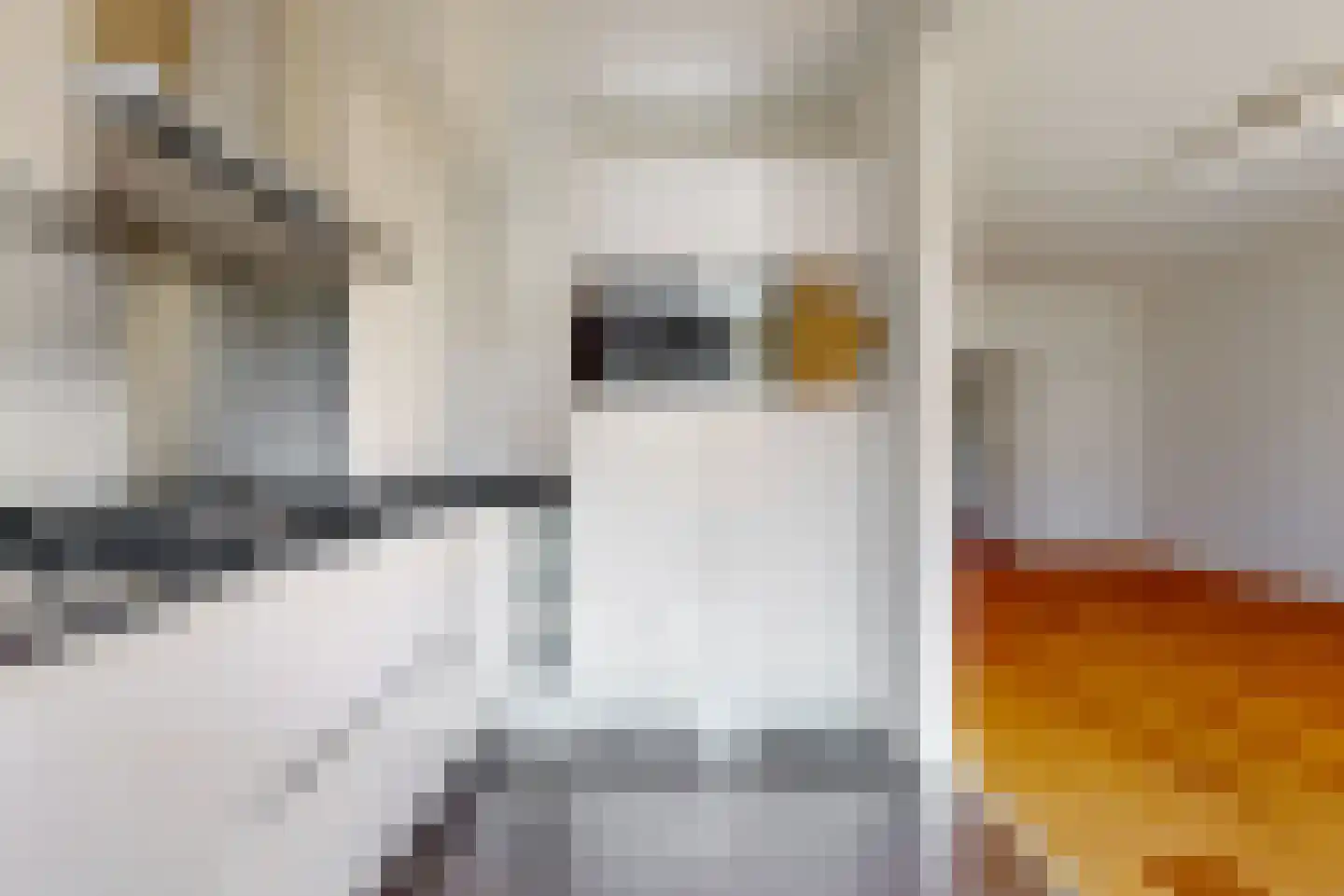 Breitnerlaan 91 Den Haag thumbnail 12