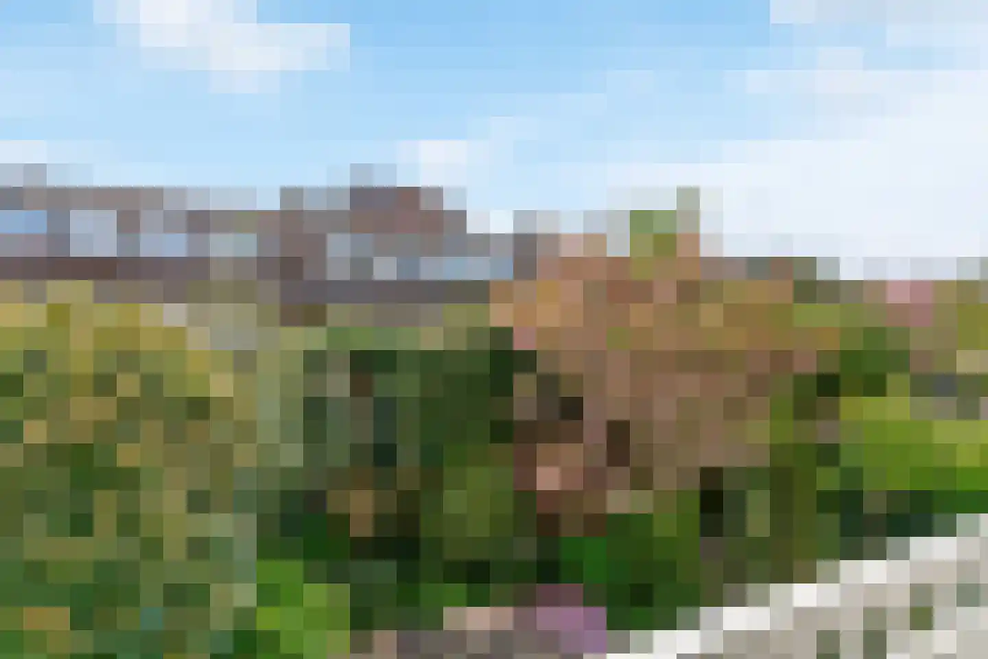 Breitnerlaan 91 Den Haag thumbnail 32