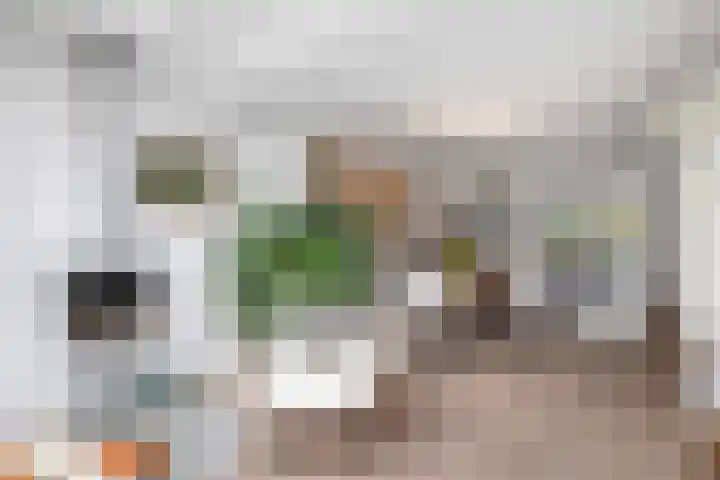 Breitnersingel 36 Rotterdam thumbnail 14