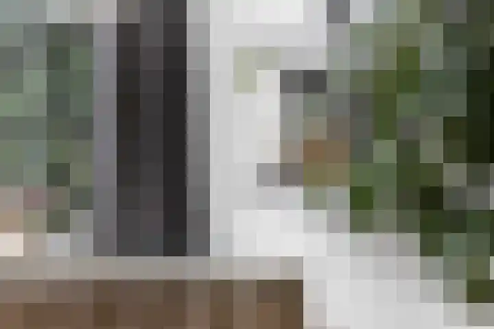 Breitnersingel 36 Rotterdam thumbnail 16