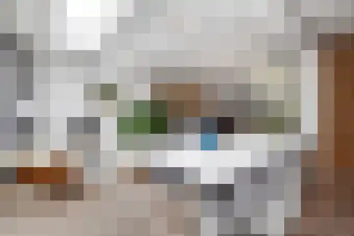 Breitnersingel 36 Rotterdam thumbnail 21