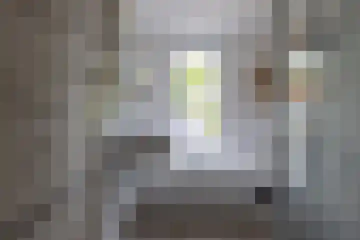 Breitnersingel 55 Rotterdam thumbnail 22