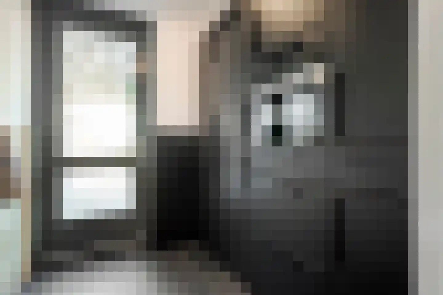 Breitnerstraat 10 Dedemsvaart thumbnail 15