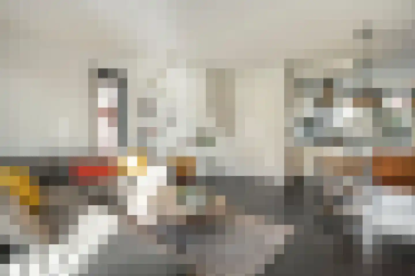 Breitnerstraat 10 Dedemsvaart thumbnail 18