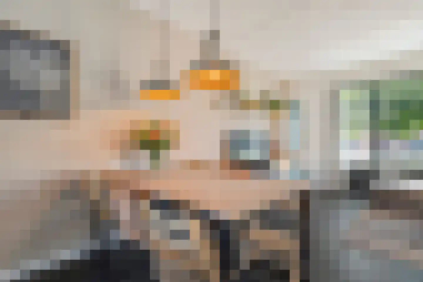 Breitnerstraat 10 Dedemsvaart thumbnail 21