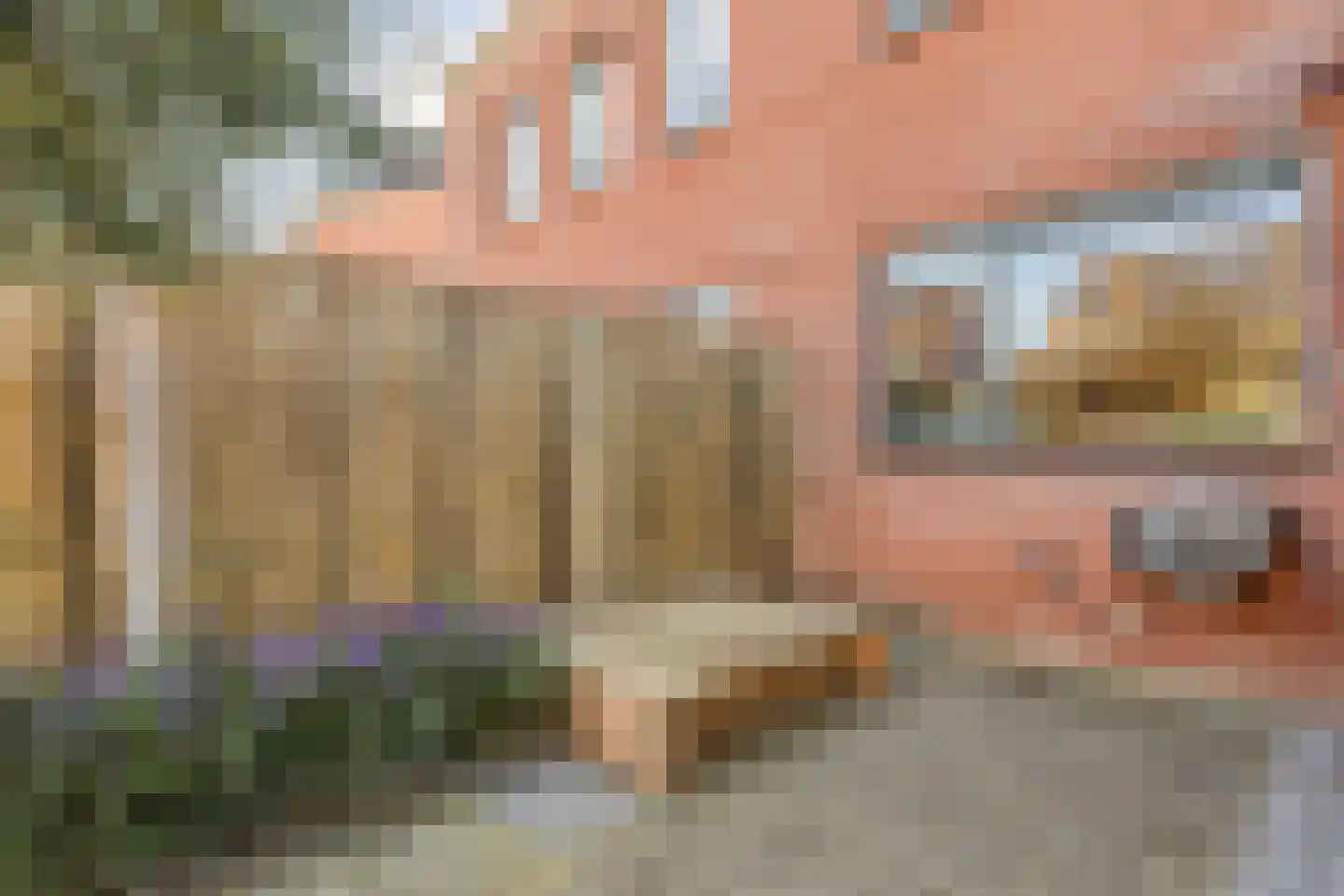 Breitnerstraat 10 Dedemsvaart thumbnail 40