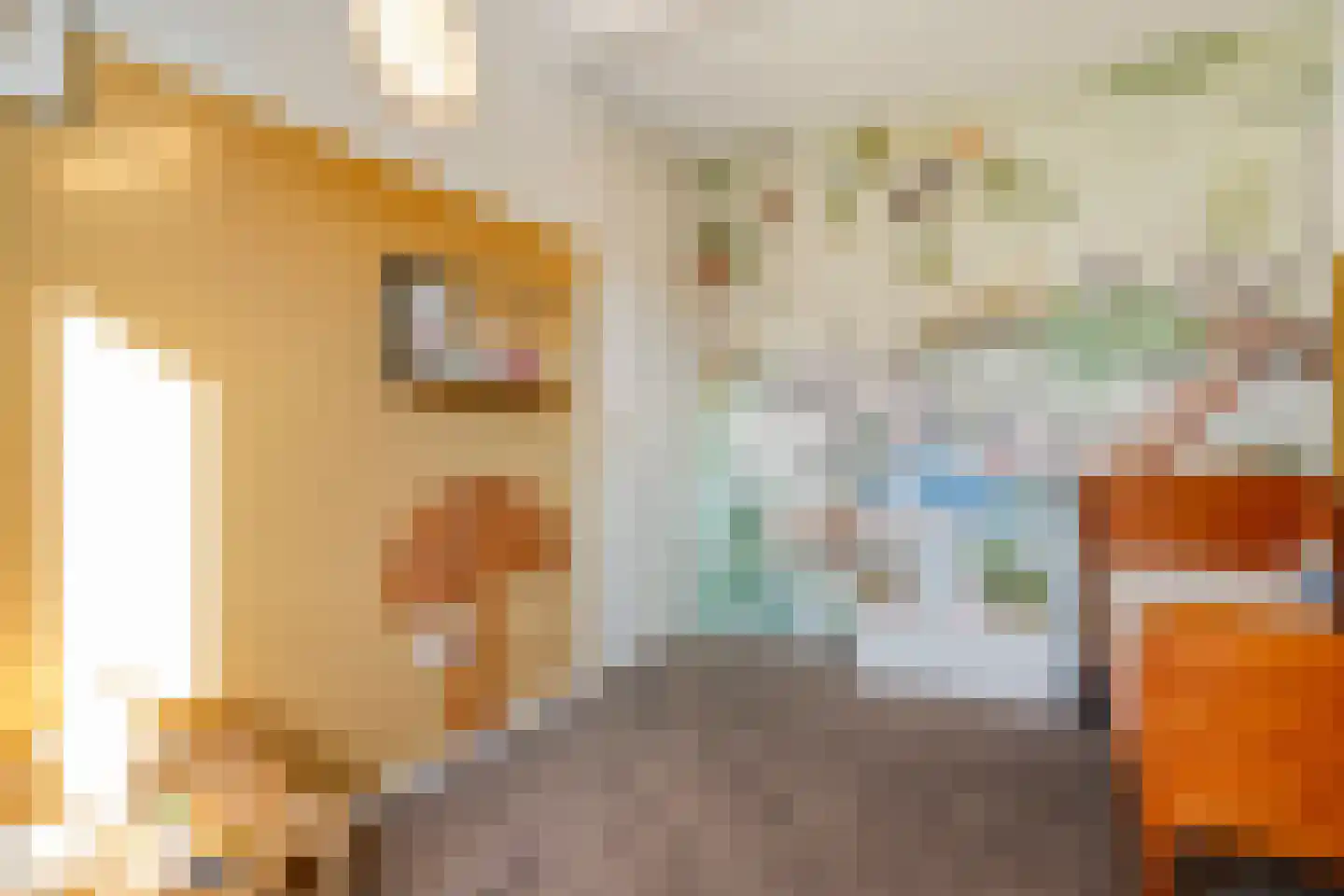Breitnerstraat 10 Dedemsvaart thumbnail 5