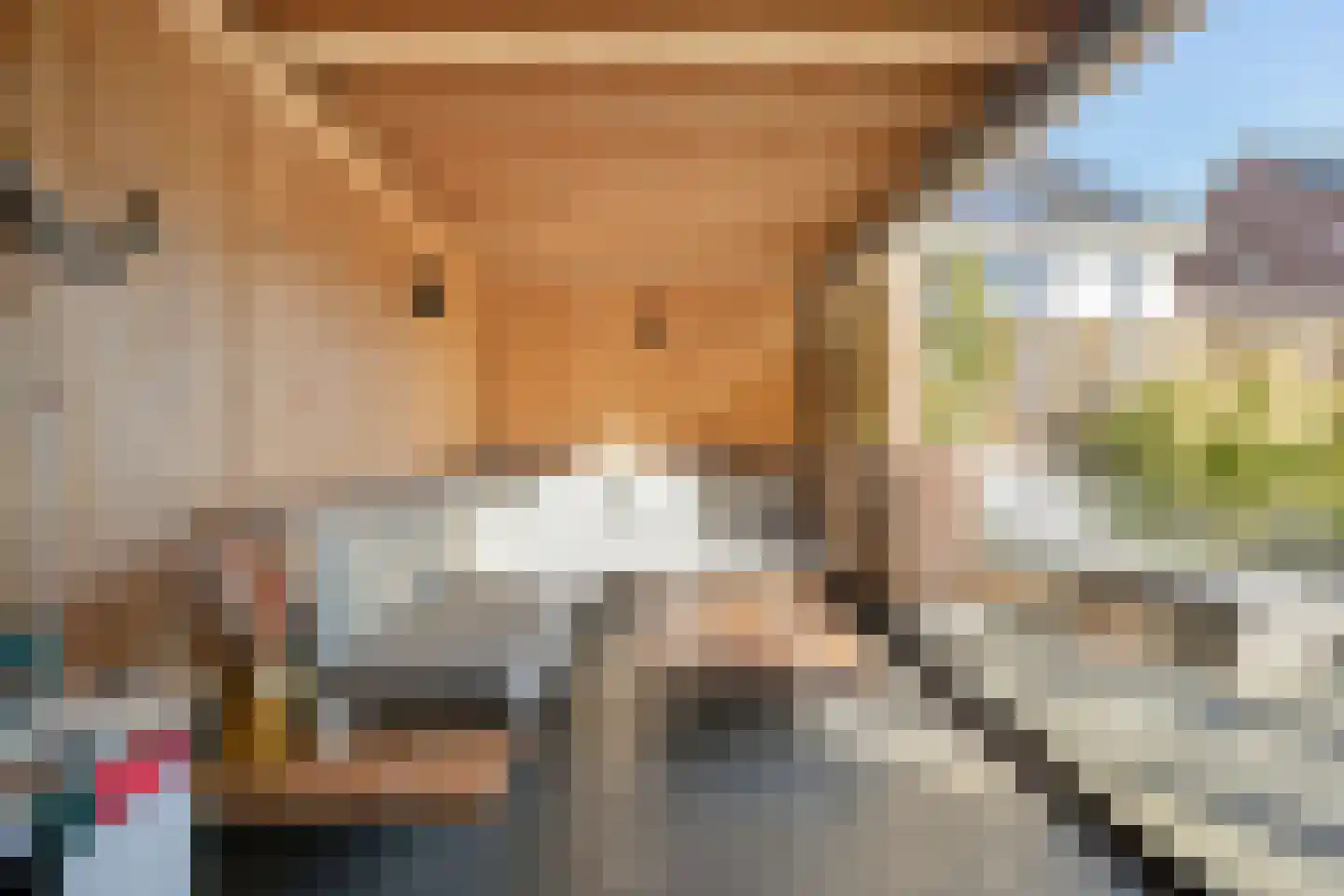 Breitnerstraat 10 Dedemsvaart thumbnail 50