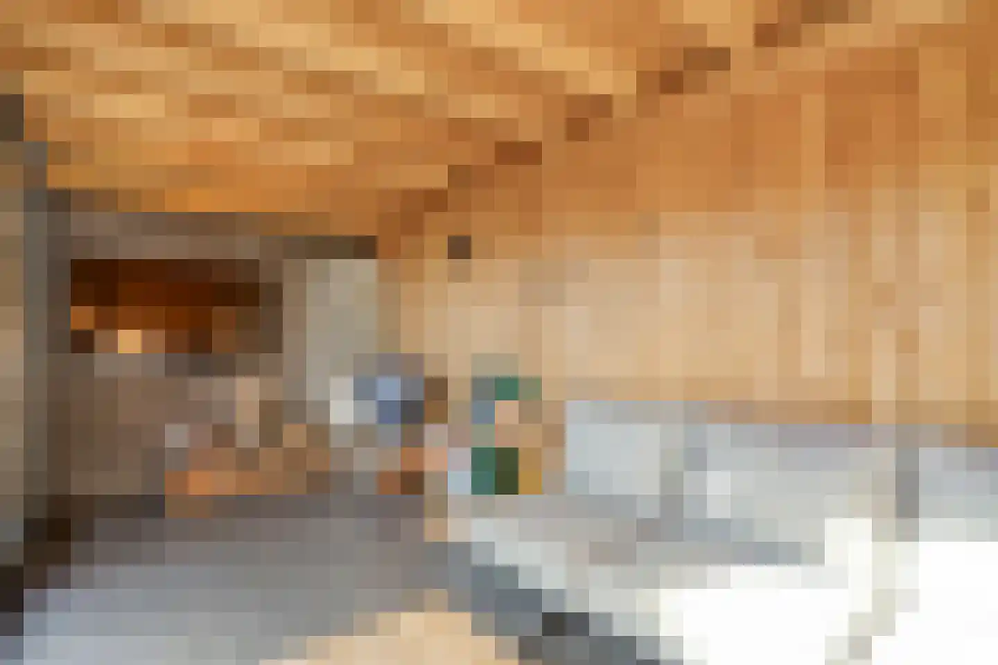Breitnerstraat 10 Dedemsvaart thumbnail 51