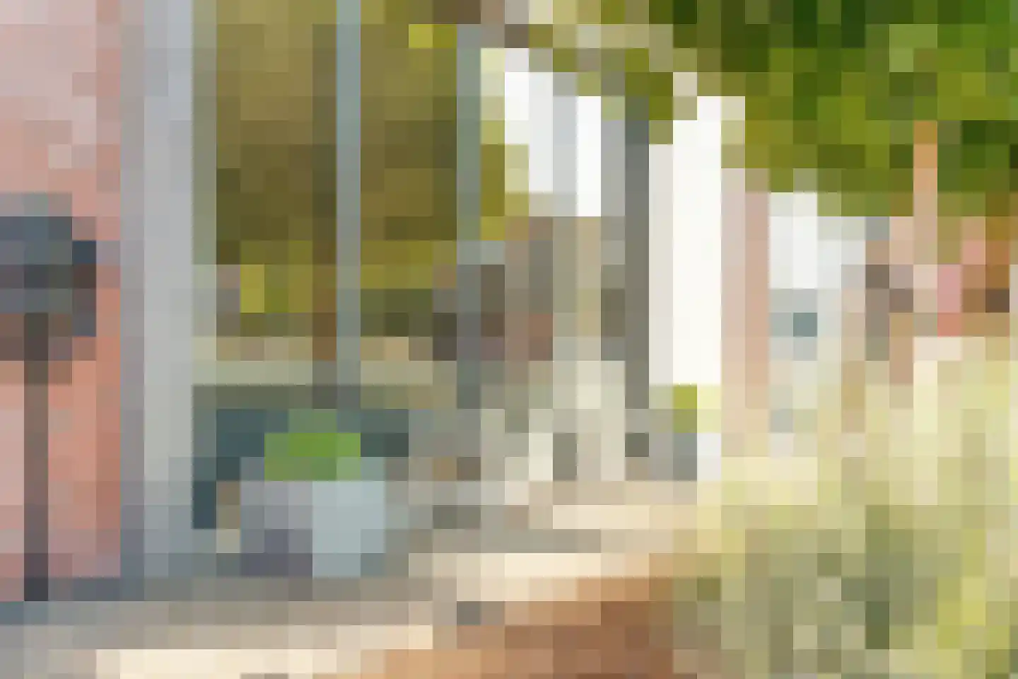 Breitnerstraat 10 Dedemsvaart thumbnail 55