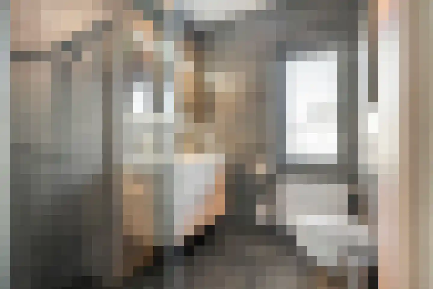 Breitnerstraat 10 Dedemsvaart thumbnail 6