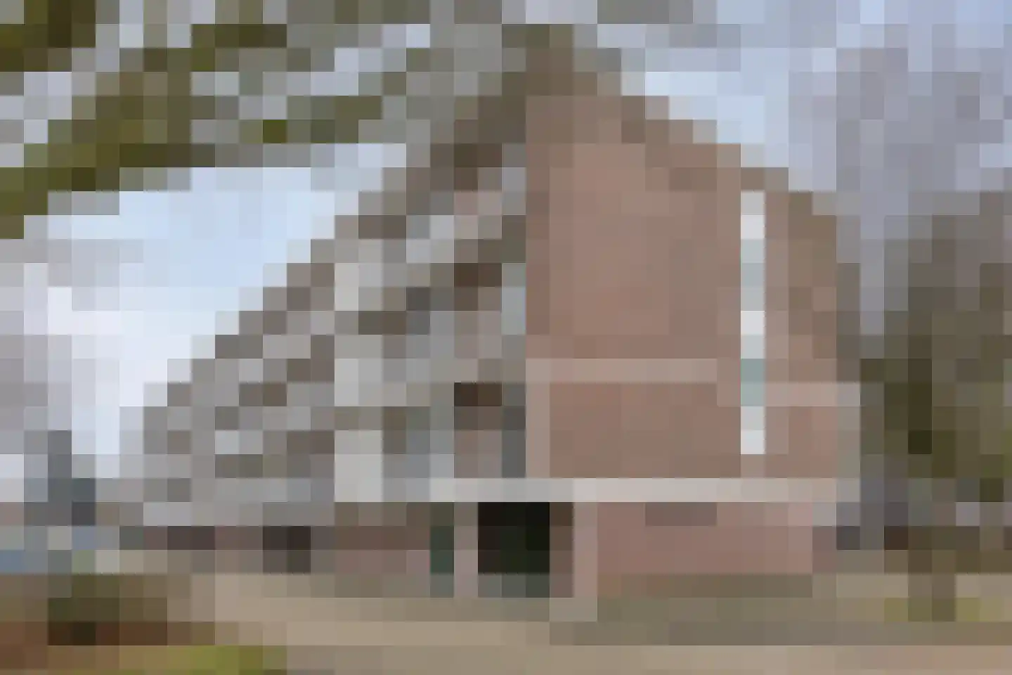 Breitnerstraat 121 Terneuzen