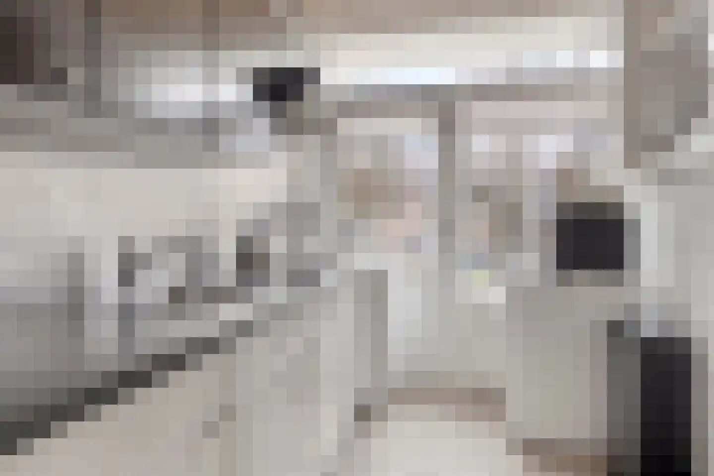 Breitnerstraat 121 Terneuzen thumbnail 11