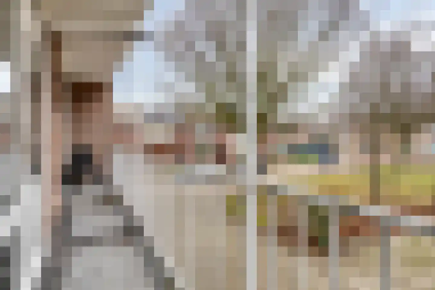 Breitnerstraat 121 Terneuzen thumbnail 18