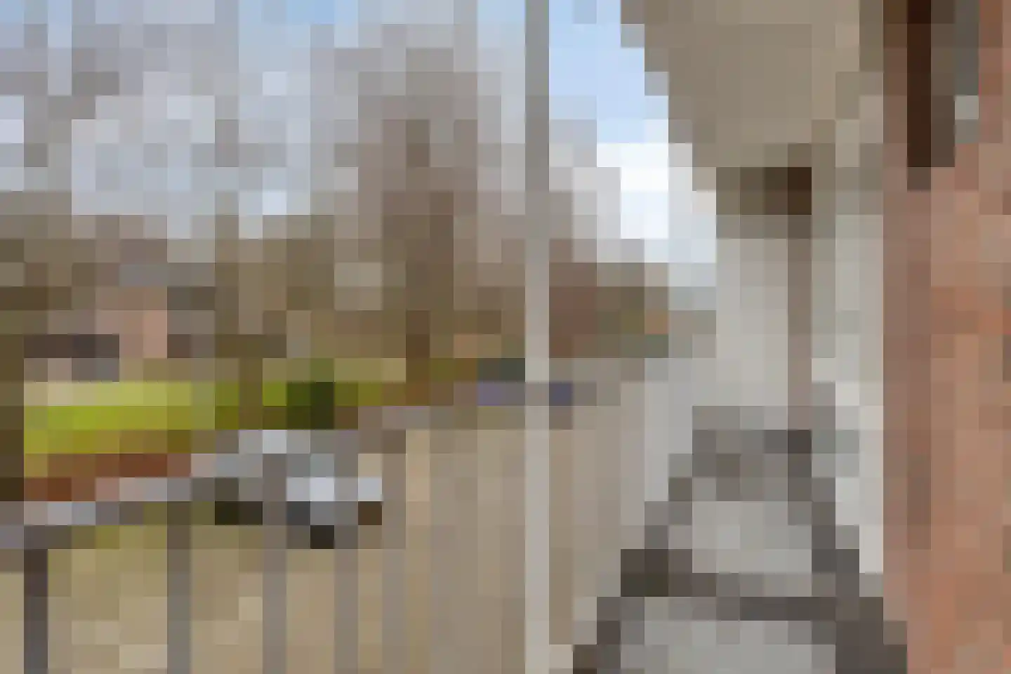 Breitnerstraat 121 Terneuzen thumbnail 20