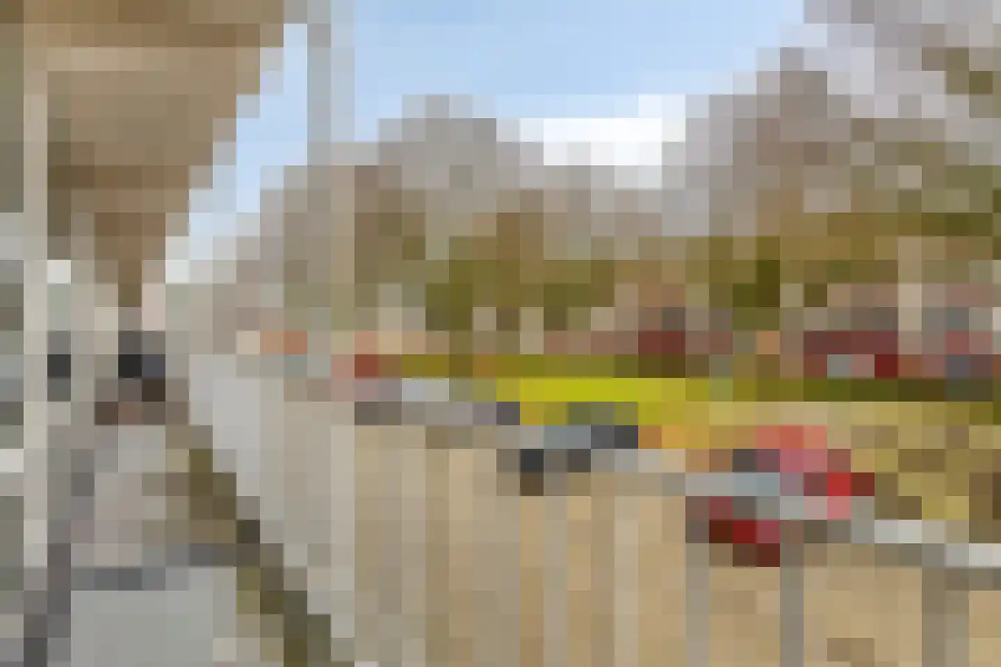 Breitnerstraat 121 Terneuzen thumbnail 21