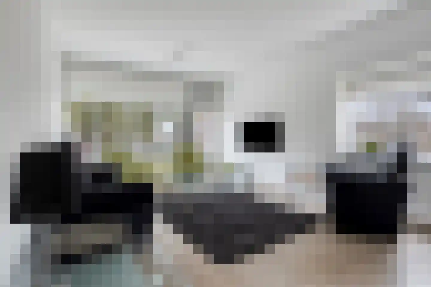 Breitnerstraat 121 Terneuzen thumbnail 6