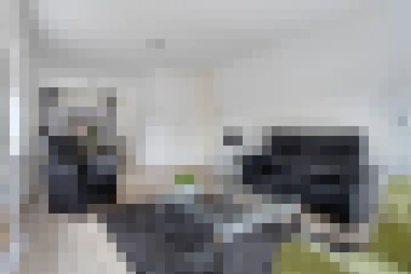 Breitnerstraat 121 Terneuzen thumbnail 8