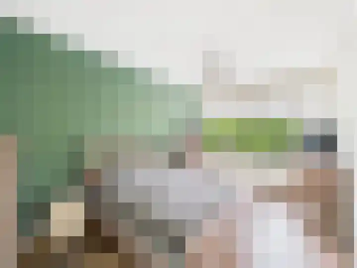 Breitnerstraat 131 Terneuzen thumbnail 13