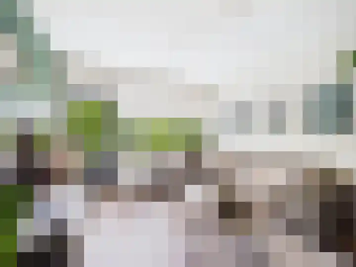 Breitnerstraat 131 Terneuzen thumbnail 4