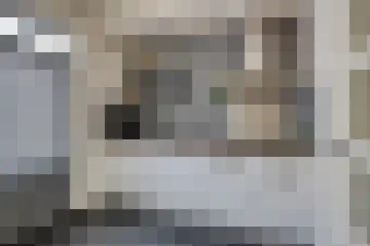 Breitnerstraat 14 Geleen thumbnail 12