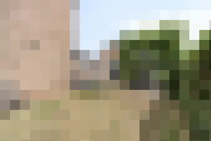 Breitnerstraat 14 Geleen thumbnail 17