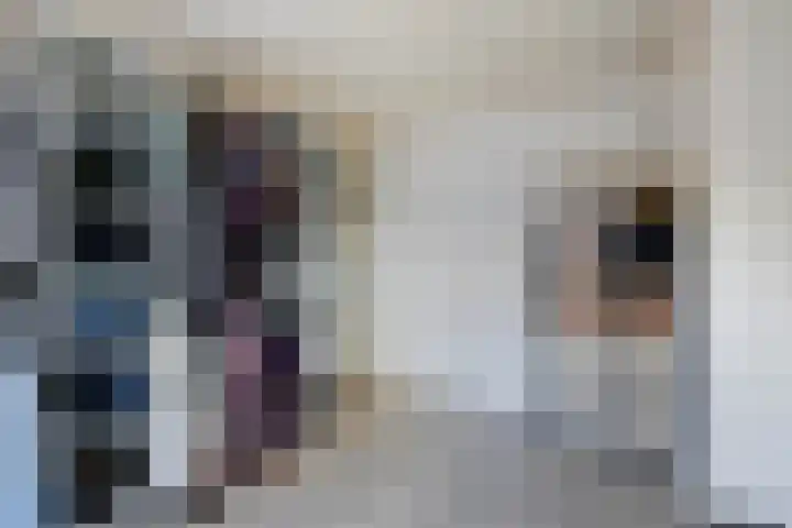 Breitnerstraat 14 Geleen thumbnail 22