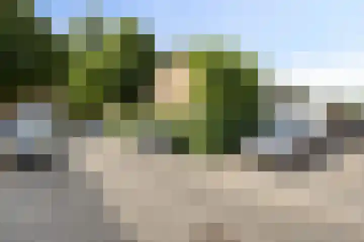 Breitnerstraat 14 Geleen thumbnail 27