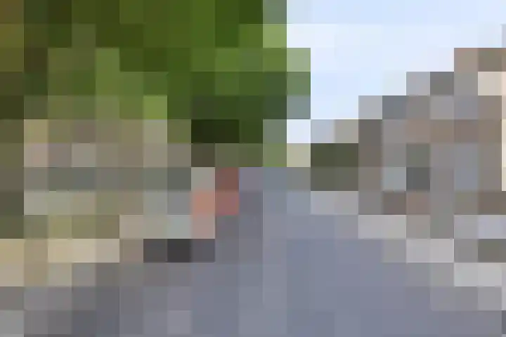 Breitnerstraat 14 Geleen thumbnail 31