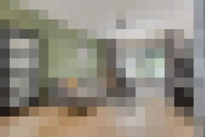 Breitnerstraat 14 Geleen thumbnail 5