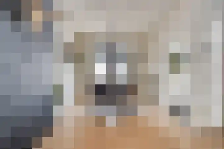 Breitnerstraat 14 Geleen thumbnail 7